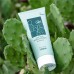 CACTUS BODY LOTION 200ML